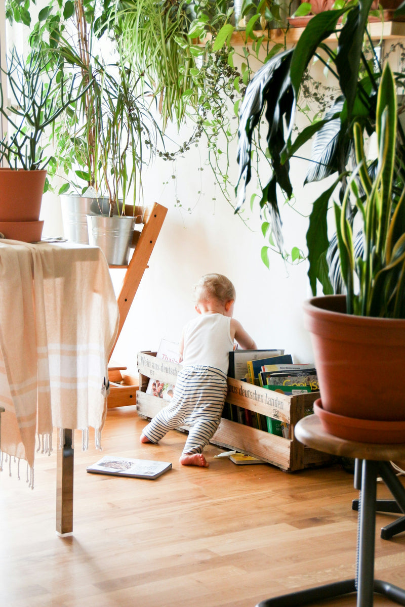 Baby Safety Essentials