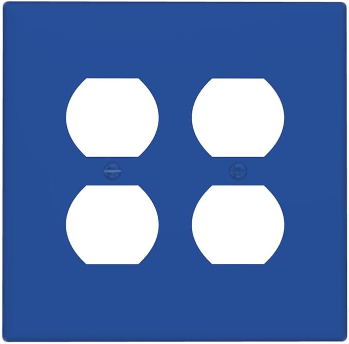 Blue 2 Gang Double Duplex Receptacle Combo Outlet Light Switch Cover Wall Plate Electrical Faceplate Decorative Dual Device Switchplate
