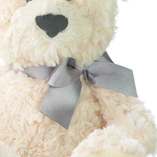 DEMDACO The Lord's Prayer Bear - Religious Plush Toy for Calming Comfort - Prayer Bear Plush - Spiritual Gift for Kids - Bedtime Hug Toy - Air Dry