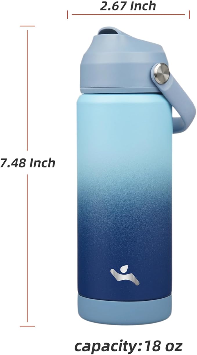 Konokyo Insulated Water Bottle with Straw Lid,18 oz Stainless Steel Vacuum Metal Bottle with Silicone Handle,Sky