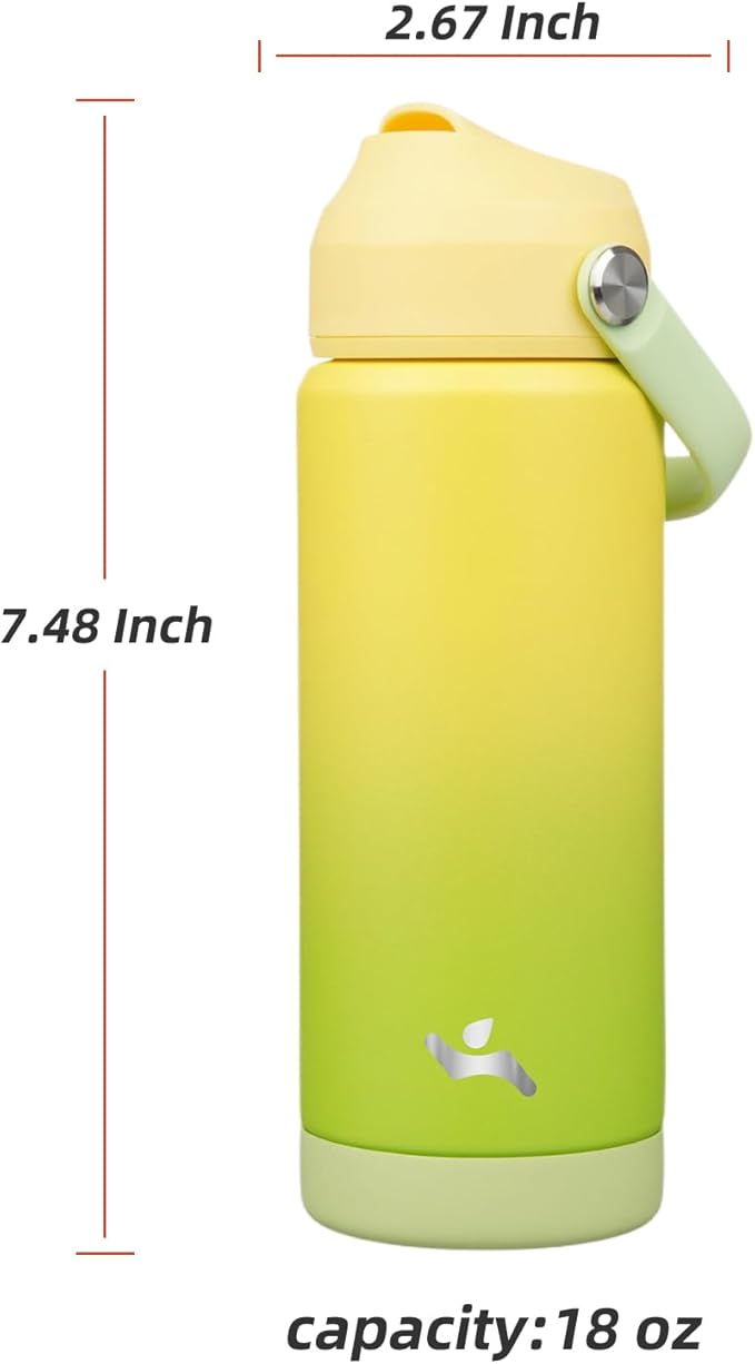 Konokyo Insulated Water Bottle with Straw Lid,18 oz Stainless Steel Vacuum Metal Bottle with Silicone Handle,Lime