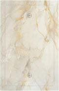 Light Switch Covers Beige Gold Marble Abstraction Morden Art Decorative Switch Plates 1 Gang Blank No Device Outlet Covers Electrical WallPlates for Kitchen Bathroom Decor