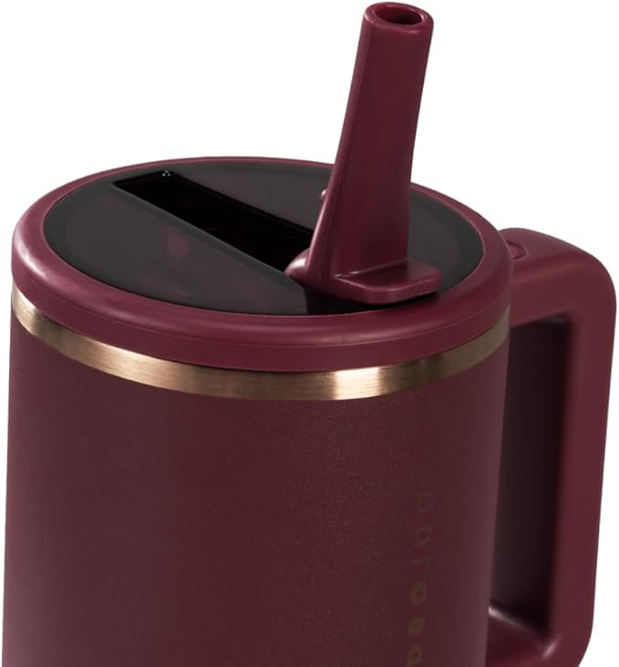 HydroJug Kids - 20 oz Insulated Kids Water Bottle with Flip Straw & Handle | Leak-Proof & Durable | Perfect for School, Sports, Lunch, Travel & Camp, Merlot