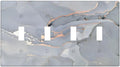 Gray And Gold Marble Abstract Luxury Print Light Switch Covers Quad Toggle Electrical Faceplate 4 Gang Wall Plate Decorative Switch Plates Cover for Bathroom Kitchen Bedroom Decor