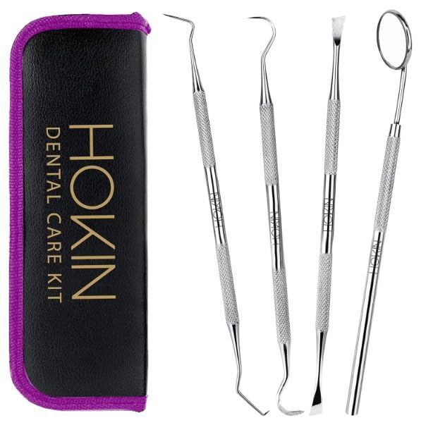 HOKIN Dental Tools Plaque Remover Teeth Cleaning Tool 4 Pcs Dental Care Kit Tooth Filling Repair Set Stainless Steel Dental Tools for Men Women Kids and Pet Care (Blush Pink)