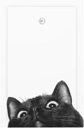 Peeping Black Cat Cute Animals Light Switch Cover Plate 1 Gang No Device Blank Electrical Wall Plates Faceplate Decorative Switch Plate for Kids Room Home Decor