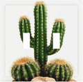 Boho Cactus Garden Double Toggle Switch Cover - 2-Gang Standard US Size Minimalist Desert Landscape Design Light Switch Covers for Bedroom Bathroom Living Room Decor