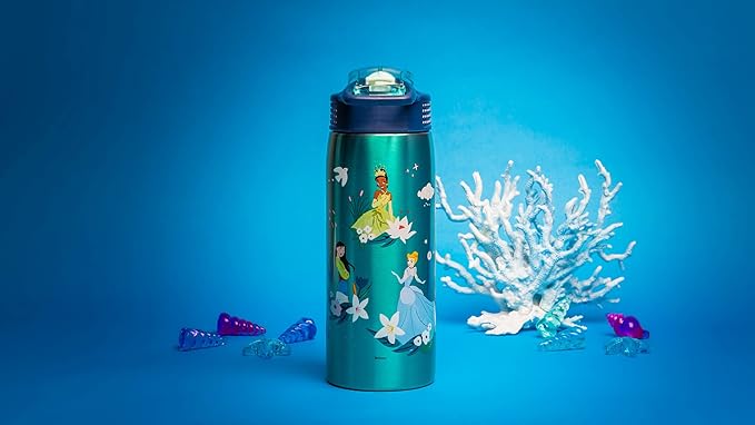 Zak Designs Disney Princess Water Bottle for Travel and At Home, 19 oz Vacuum Insulated Stainless Steel with Locking Spout Cover, Built-In Carrying Loop, Leak-Proof Design (Disney Princess)