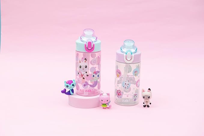 Zak Designs DreamWorks Gabby's Dollhouse Sage Kids Water Bottle For School or Travel, 16oz Durable Plastic Water Bottle With Straw and Leak-Proof, Pop-Up Spout Cover, 2-Pack Set (The Gabby Cats)