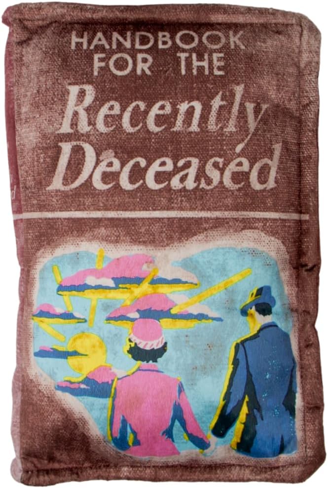 Beetlejuice For The Recently Deceased Book Bedding Super Soft Plush Decorative Throw Pillow, 14 in X 9 in, (Officially Licensed Product) By Franco Collectibles