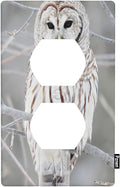 Snowy Owl Wall Plate Cover Cute Owl Perch on Tree Outlet Covers 1-Gang Switch Plug Duplex Cover Home Bedroom Bathroom Kitchen