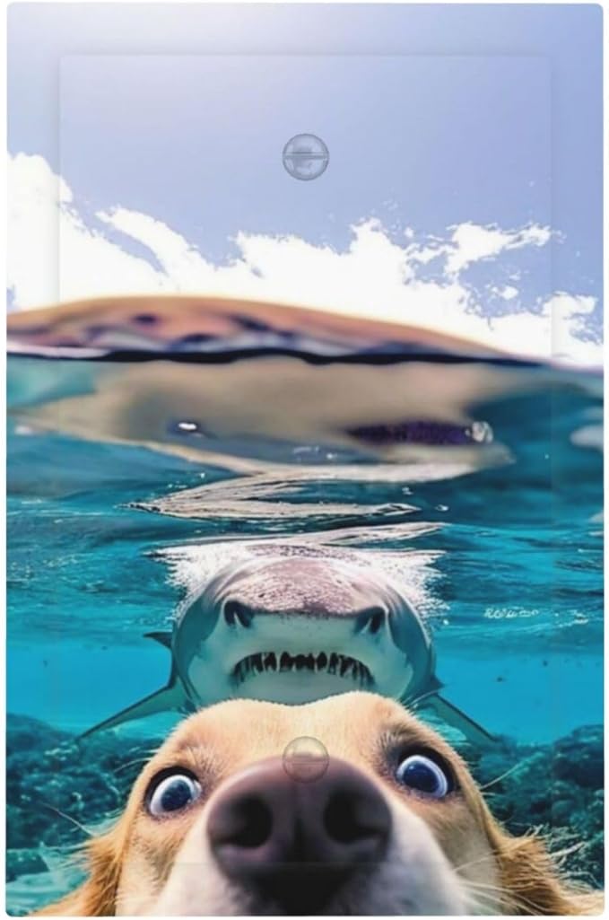 Decorative Light Switch Plate Covers Angry Shark Chased Funny Dog Underwater Sea 1 Gang No Device Switch Cover Plate Single Blank Wall Plate Switchplate Electrical Faceplate