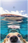 Decorative Light Switch Plate Covers Angry Shark Chased Funny Dog Underwater Sea 1 Gang No Device Switch Cover Plate Single Blank Wall Plate Switchplate Electrical Faceplate