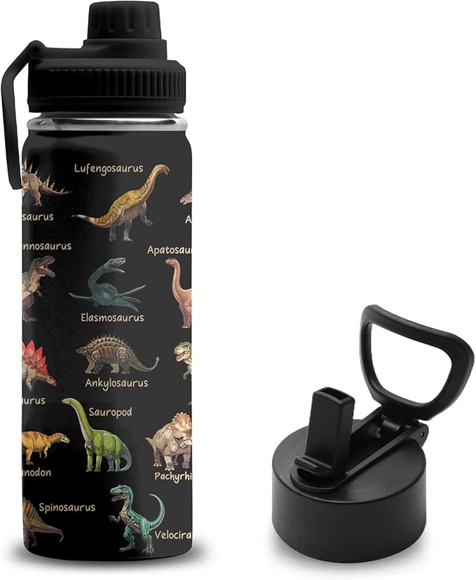 Dinosaur Gifts for Boys, 18 oz Stainless Steel Water Bottles with 2 Lids, Insulated Water Bottle with Straw, Dinosaur Cups for Travel Sports Outdoor, Birthday Christmas Gifts for Boys Dino Lovers