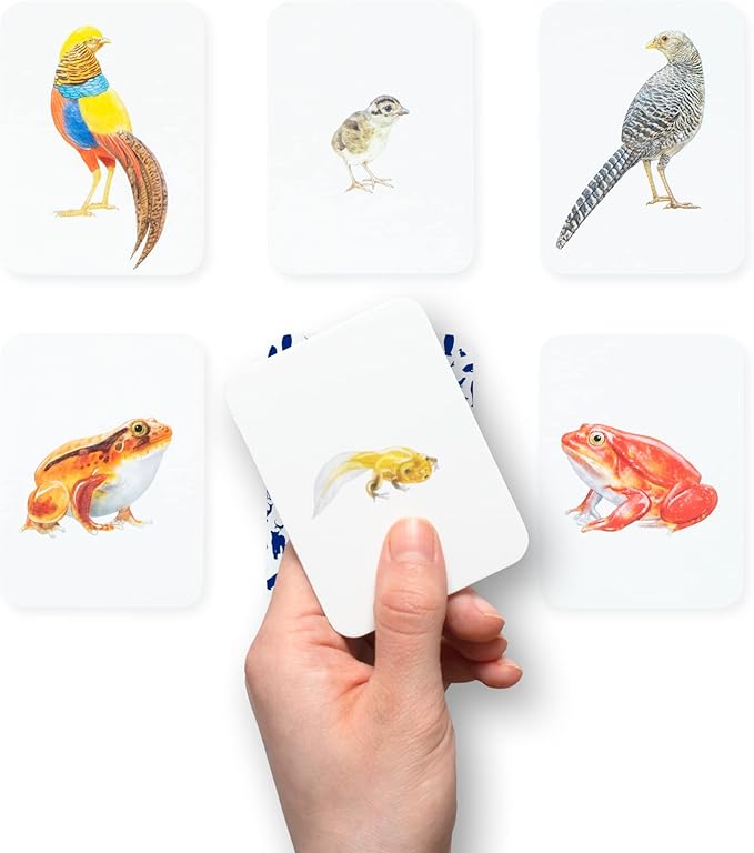 Laurence King Animal Family Match: A Matching Memory Game