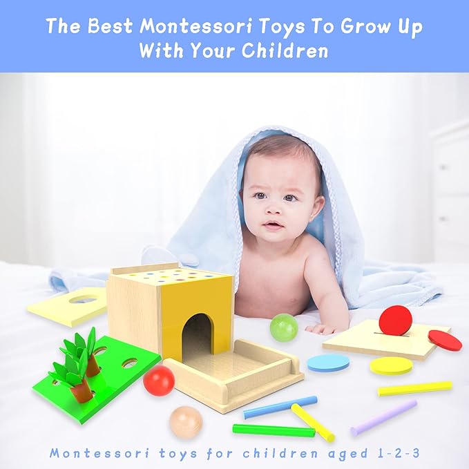 Montessori Toddler Play Kit Montessori Box Toys for 1 Year Old 2 Years Baby Learning Toys Gift Carrot Harvest Game, Matchstick Color Drop Game and Coin Box (5-for-1)
