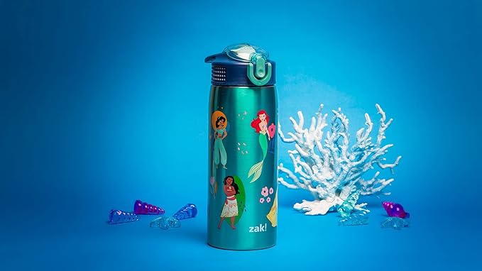 Zak Designs Disney Princess Water Bottle for Travel and At Home, 19 oz Vacuum Insulated Stainless Steel with Locking Spout Cover, Built-In Carrying Loop, Leak-Proof Design (Disney Princess)