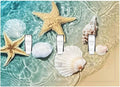 Decorative Switch Plates Beach Starfish Ocean Conch Cameo Shell 3 Gang Wall Plate Triple Toggle Light Switch Cover Faceplate Electrical Wall Panels For Decor Kids Room Decor