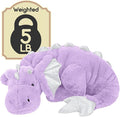 ARELUX Giant Weighted Winged Dragon Plush Toy - 35.4" 5lbs Soft Stuffed Animal for Comfort, Pterosaur Plushie Fuzzy Dinosaur Pillow Plushies Cuddly Removable and Washable Purple