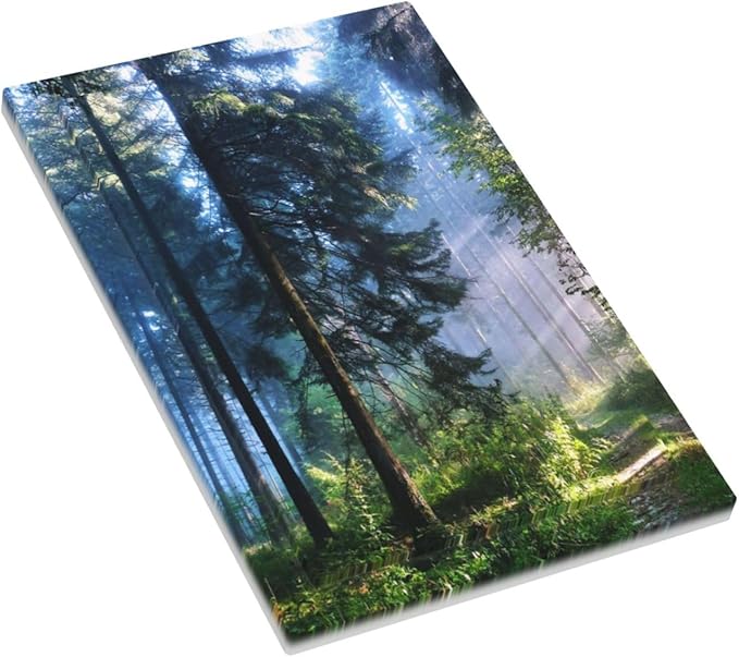 Green Landscape Forest Tree 1 Gang No Device Wall Plate Decorative Blank Light Switch Cover Switchplate Electrical Faceplate for Bathroom Home Bedroom Art Decor