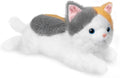 19 inch 3 Pounds Cat Weighted Stuffed Animals, Realistic Weighted Cat Stuffed Animal, Sensory Comfort Plush Throw Pillow, Soft Kawaii Kitty Plush Toy Gift for Adults Kids Youth