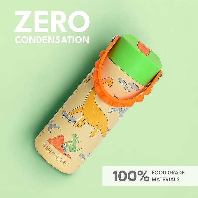 Elemental Insulated Kids Water Bottle, Stainless Steel Water Bottle with Straw Lid & Pop-It Handle, Leak-Proof Water Bottles for School, Boys or Girls, Travelling and Sports, 18oz - Skater Dinos