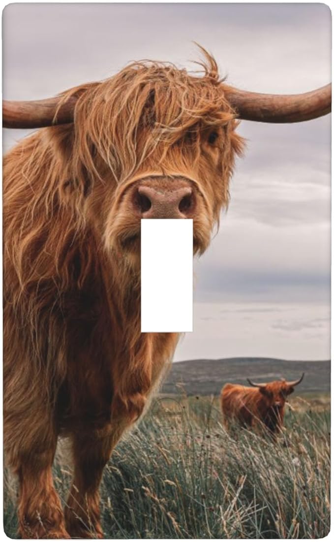 Highland Cow Light Switch Cover Plate Highland Cattle Farm Animal Single Toggle Wall Plate 1 Gang Switchplate Home Decor for Living Room Kitchen 4.5"x 2.76"