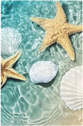 Light Switch Cover Plate Beach Starfish Ocean Conch Cameo Shell 1 Gang No Device Blank Electrical Wall Plates Faceplate Decorative Switch Plate For Decor Kids Room Decor