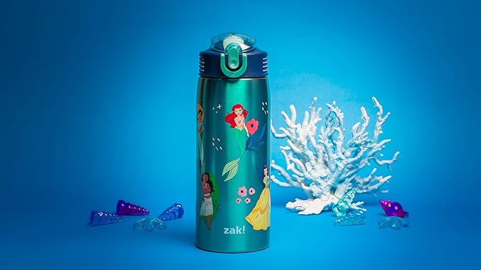 Zak Designs Disney Princess Water Bottle for Travel and At Home, 19 oz Vacuum Insulated Stainless Steel with Locking Spout Cover, Built-In Carrying Loop, Leak-Proof Design (Disney Princess)