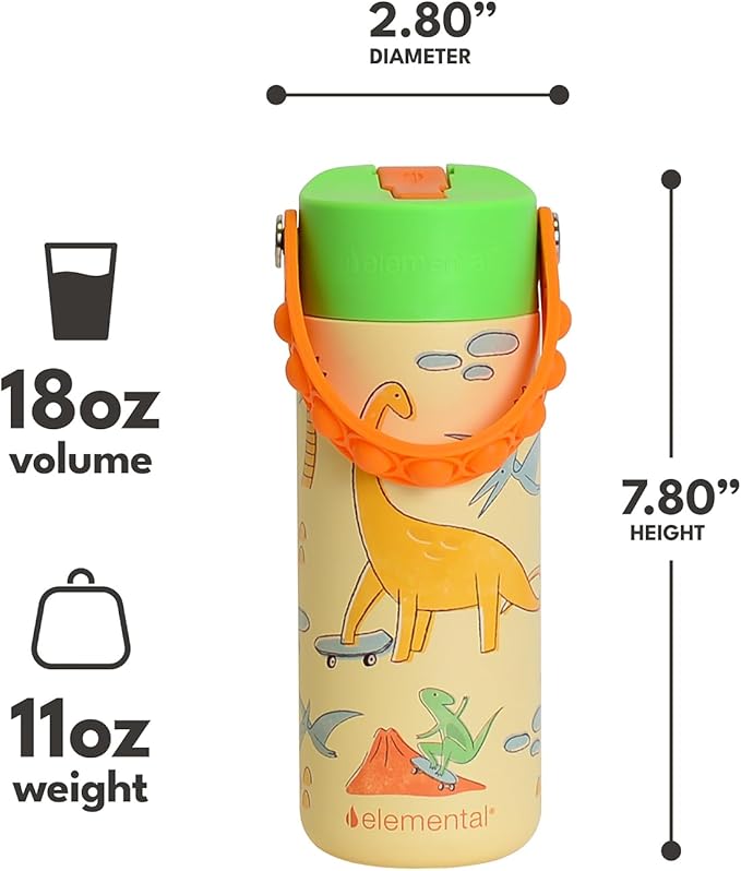 Elemental Insulated Kids Water Bottle, Stainless Steel Water Bottle with Straw Lid & Pop-It Handle, Leak-Proof Water Bottles for School, Boys or Girls, Travelling and Sports, 18oz - Skater Dinos