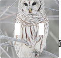 Snowy Owl Double Toggle Light Switch Cover Cute Owl Perch on Tree Wall Plate Covers 2-Gang Toggle Switch Plates Home Decorative Office