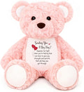 Soft Teddy Bear Plush Toy, A Big Hug Get Well Soon Sympathy Bear for Kids, Grief Sympathy Gifts for Women, Kids, Adults, Thinking of You Condolences Memorial Loved Present 15" (Pink Curly)