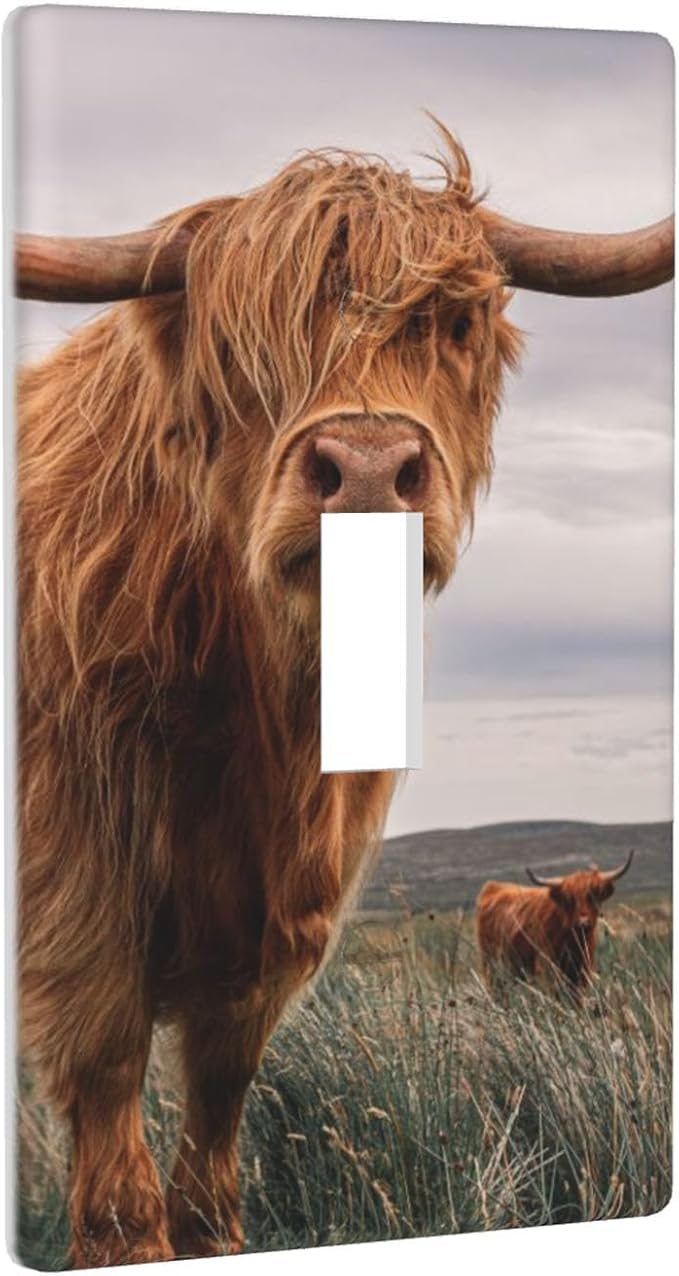 Highland Cow Light Switch Cover Plate Highland Cattle Farm Animal Single Toggle Wall Plate 1 Gang Switchplate Home Decor for Living Room Kitchen 4.5"x 2.76"