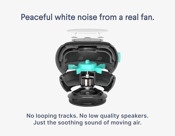 SNOOZ Smart White Noise Machine - Real Fan Inside for Non-Looping Sound, Portable Sleep Aid for Adults, Dogs, Pets, Travel, Home, Bedroom, Sleeping, Office Privacy, Therapy, & Baby Registry - Charcoal