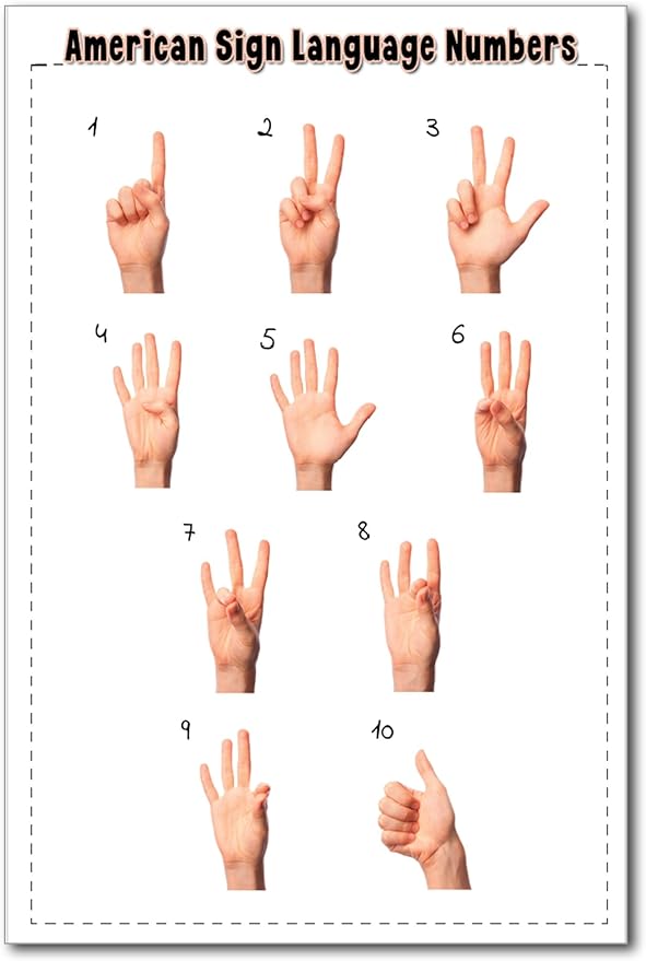 Zieglerworld American Sign Language ASL Alphabet & Numbers Laminated Double Sided Educational Learning Tools Chart 8 1/2 x 11