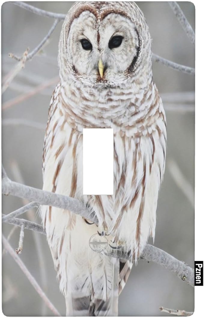 Snowy Owl Single Toggle Light Switch Cover, Cute Owl Perch on Tree 1-Gang Wall Plate 4.5 x 2.76 Inch for Living Room Kitchen Decor