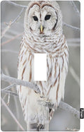 Snowy Owl Single Toggle Light Switch Cover, Cute Owl Perch on Tree 1-Gang Wall Plate 4.5 x 2.76 Inch for Living Room Kitchen Decor