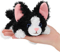 PEACH CAT Devon Rex Cat Stuffed Animal Cute Kitten Plushies Small Plush Toys Gifts for Kids Black