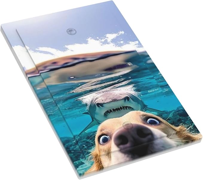Decorative Light Switch Plate Covers Angry Shark Chased Funny Dog Underwater Sea 1 Gang No Device Switch Cover Plate Single Blank Wall Plate Switchplate Electrical Faceplate