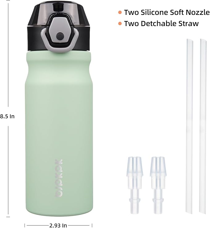 BJPKPK Stainless Steel Insulated Water Bottle with Straw Lid 18oz Reusable Metal Thermal Flask Bottles Keep Cold and Hot,Sage