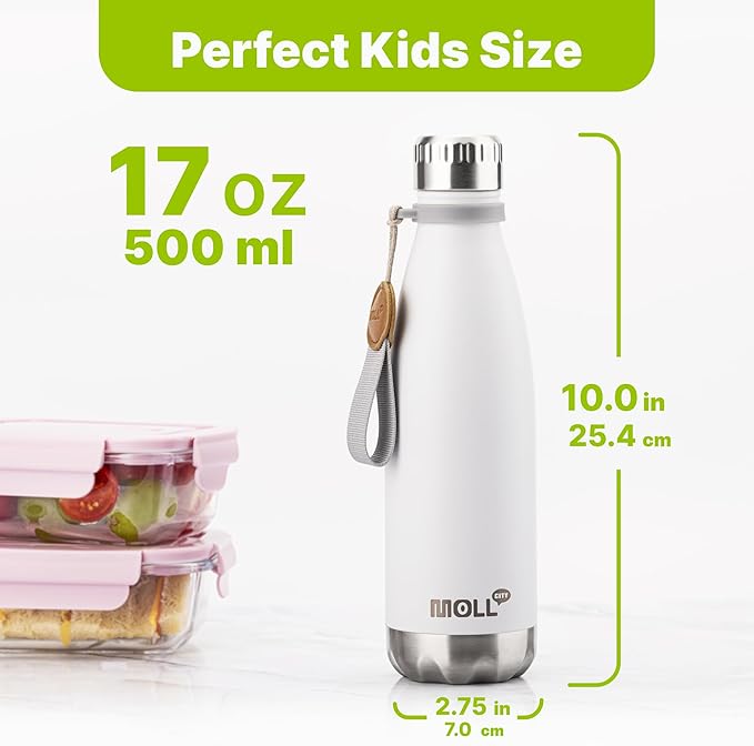Insulated Water Bottles 17oz Stainless Steel Sports Water Bottles Cola Shape Metal Flask with Detachable Carry Rope, Keep Cold for 24 Hours and Hot for 12 Hours