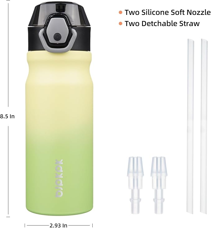 BJPKPK Insulated Water Bottle 18oz Stainless Steel Water Bottles with Straw and Carry Handle Double Wall Metal Thermal Flask,Lime