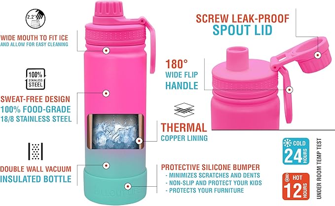 CHILLOUT LIFE 17 oz Kids Insulated Water Bottle for School with Leakproof Spout Lid and Cute Waterproof Stickers, Personalized Stainless Steel Thermos Flask Metal Water Bottle for Girls & Boys