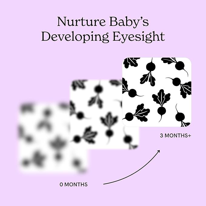 Garden for Baby Black and White Cards by Chunky Deli | High Contrast Sensory Toy for Newborn Visual Stimulation & Tummy Time | 10 Laminated Infant Learning Cards | Unique Foodie