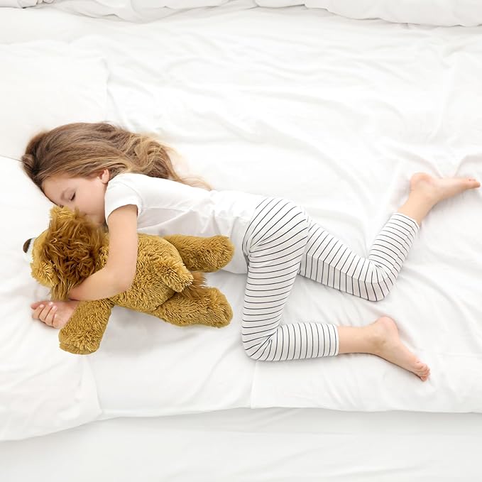 YOUBLEK 20" | 4 Pounds Weighted Stuffed Animals,Sensory Comfort Plush Throw Pillow Toy, Soft for Home & School, Kawaii Plushies Hugging Toy Gifts for Kids & Adults (Lion, 20 inch 4 Pounds)