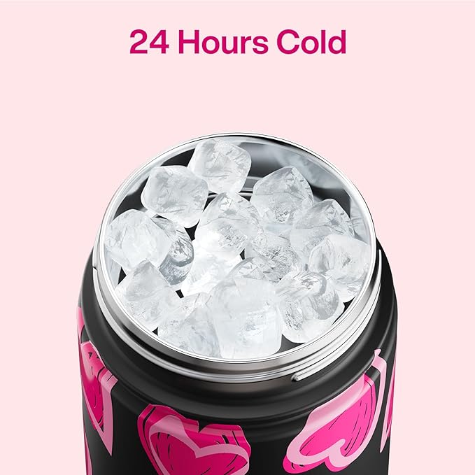 ENCOOL Valentine's Day Insulated Water Bottle with Straw Stainless Steel Water Bottle, Leak-Proof, BPA-Free, Keeps Cold for 24 Hours for Sports, Travel, School (26 oz, Sketch Hearts Pink x Black)