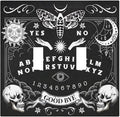 Black Witchy Skeleton Skull Gothic Sun Moon Decorative Switch Plates 2 Gang Double Toggle Outlet Light Switch Cover Wall Plate Electrical Faceplate for Bedroom Living Room Decor