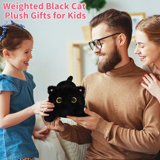 Weighted Black Cat Plush,Cute Weighted Stuffed Animals for Kids,Realistic & Soft Huggable Black Cat Weighted Plushie Pillow Toy Gifts for Girls Boys