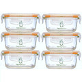 Sage Spoonfuls Borosilicate Glass Baby Food Containers with Lids - Durable and Airtight - Dishwasher, Oven, Microwave, & Fridge Safe - 24 Fl Oz, Pack of 6 - Clear