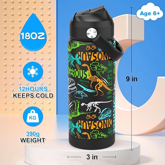 Boys Water Bottle with Straw,18 oz Kids Insulated Cups with Stainless Steel Leak Proof for School,Sport&Travel（Dinosaur）